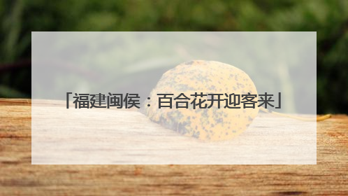 福建闽侯：百合花开迎客来