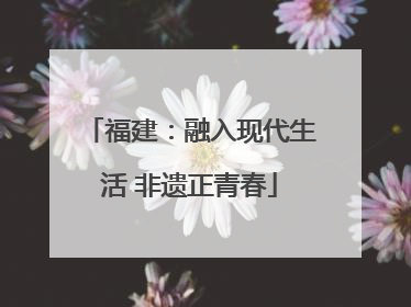 福建：融入现代生活 非遗正青春