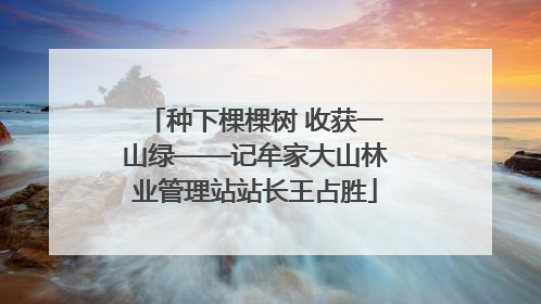 种下棵棵树 收获一山绿——记牟家大山林业管理站站长王占胜