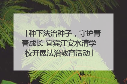 种下法治种子，守护青春成长 宜宾江安水清学校开展法治教育活动