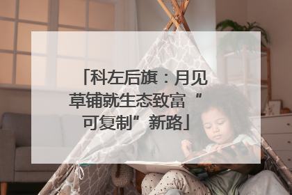 科左后旗：月见草铺就生态致富“可复制”新路