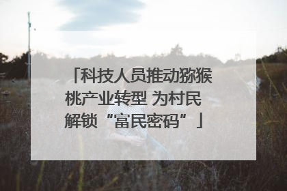 科技人员推动猕猴桃产业转型 为村民解锁“富民密码”