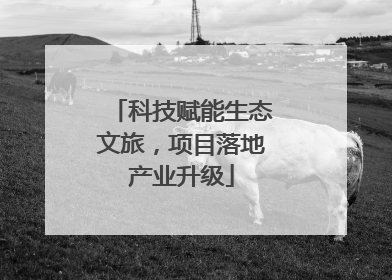 科技赋能生态文旅，项目落地产业升级