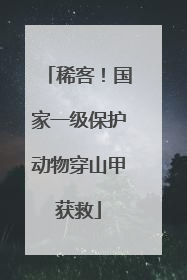 稀客！国家一级保护动物穿山甲获救