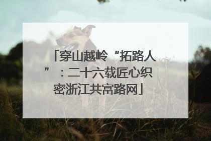 穿山越岭“拓路人”：二十六载匠心织密浙江共富路网