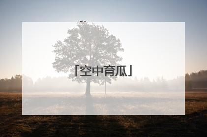 空中育瓜