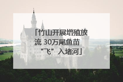 竹山开展增殖放流 30万尾鱼苗“飞”入堵河