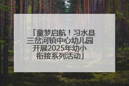童梦启航！习水县三岔河镇中心幼儿园开展2025年幼小衔接系列活动