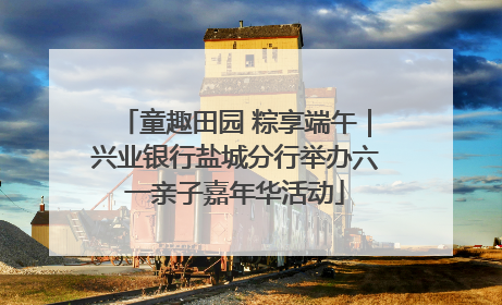 童趣田园 粽享端午｜兴业银行盐城分行举办六一亲子嘉年华活动