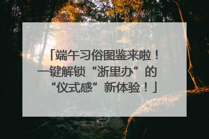 端午习俗图鉴来啦！一键解锁“浙里办”的“仪式感”新体验！