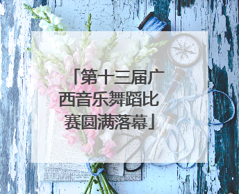 第十三届广西音乐舞蹈比赛圆满落幕