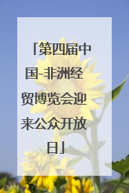 第四届中国-非洲经贸博览会迎来公众开放日