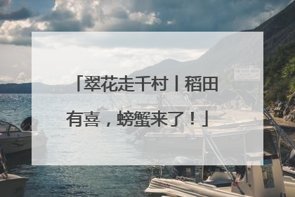 翠花走千村丨稻田有喜，螃蟹来了！