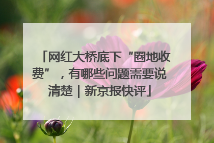 网红大桥底下“圈地收费”，有哪些问题需要说清楚｜新京报快评