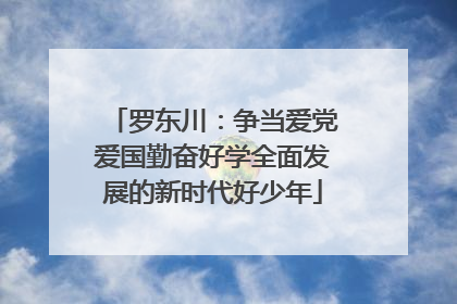 罗东川：争当爱党爱国勤奋好学全面发展的新时代好少年