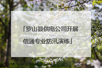 罗山县供电公司开展信通专业防汛演练
