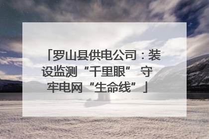 罗山县供电公司：装设监测“千里眼” 守牢电网“生命线”