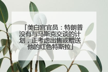 美白宫官员：特朗普没有与马斯克交谈的计划，正考虑出售或赠送他的红色特斯拉
