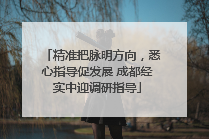 精准把脉明方向，悉心指导促发展 成都经实中迎调研指导