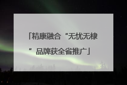 精康融合“无忧无棣”品牌获全省推广