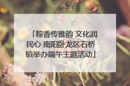 粽香传雅韵 文化润民心 南阳卧龙区石桥镇举办端午主题活动