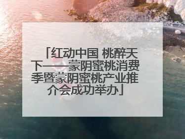 红动中国 桃醉天下——蒙阴蜜桃消费季暨蒙阴蜜桃产业推介会成功举办