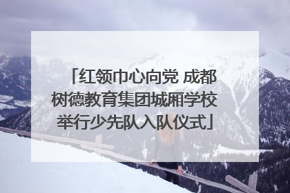 红领巾心向党 成都树德教育集团城厢学校举行少先队入队仪式