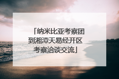 纳米比亚考察团到湘潭天易经开区考察洽谈交流