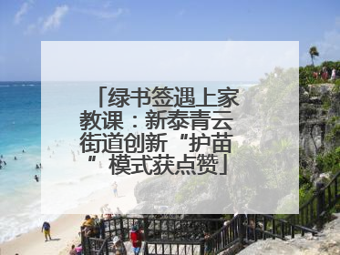 绿书签遇上家教课：新泰青云街道创新“护苗”模式获点赞