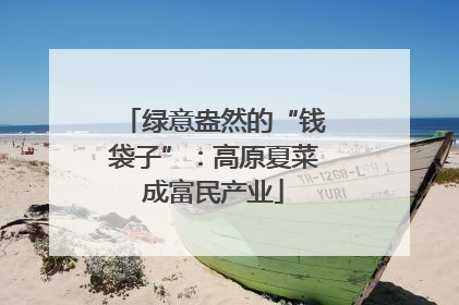 绿意盎然的“钱袋子”：高原夏菜成富民产业