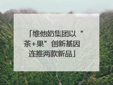维他奶集团以“茶+果”创新基因连推两款新品