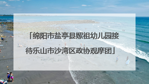 绵阳市盐亭县嫘祖幼儿园接待乐山市沙湾区政协观摩团