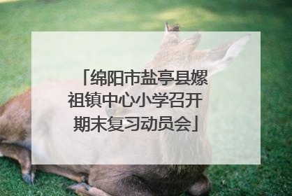 绵阳市盐亭县嫘祖镇中心小学召开期末复习动员会