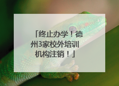 终止办学！德州3家校外培训机构注销！