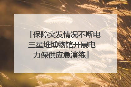 保障突发情况不断电 三星堆博物馆开展电力保供应急演练
