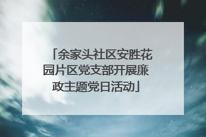余家头社区安胜花园片区党支部开展廉政主题党日活动