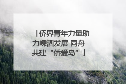 侨界青年力量助力嵊泗发展 同舟共建“侨爱岛”