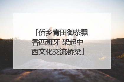 侨乡青田御茶飘香西班牙 架起中西文化交流桥梁