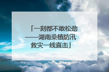 一刻都不敢松劲——湖南桑植防汛救灾一线直击