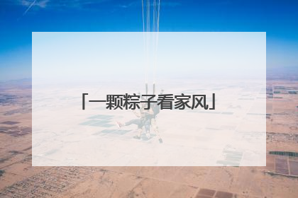 一颗粽子看家风