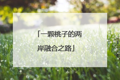 一颗桃子的两岸融合之路