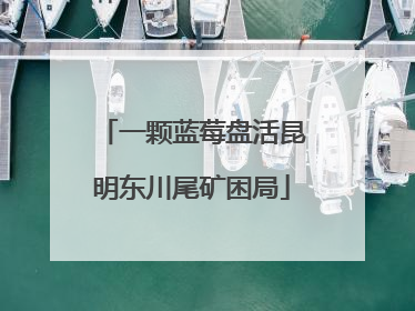 一颗蓝莓盘活昆明东川尾矿困局