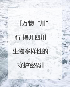 万物“川”行 揭开四川生物多样性的守护密码