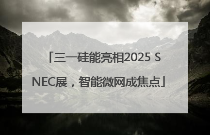 三一硅能亮相2025 SNEC展，智能微网成焦点