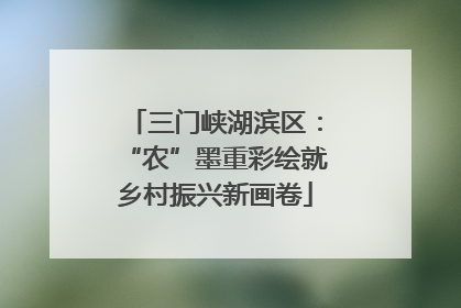 三门峡湖滨区：“农”墨重彩绘就乡村振兴新画卷