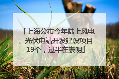 上海公布今年陆上风电、光伏电站开发建设项目19个，过半在崇明