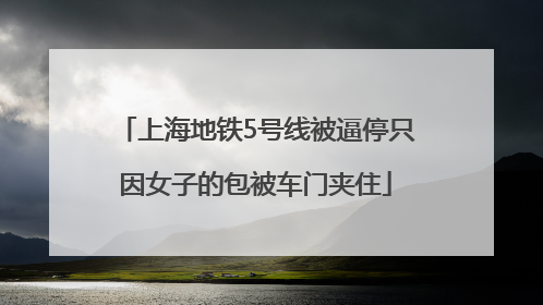 上海地铁5号线被逼停只因女子的包被车门夹住