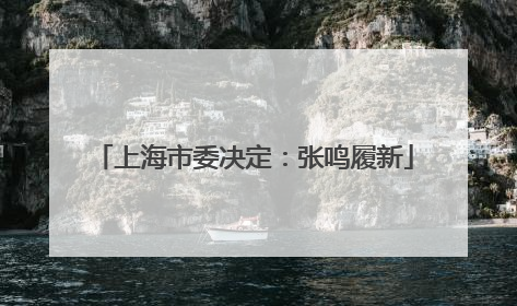 上海市委决定：张鸣履新