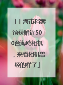 上海市档案馆获赠近500台海鸥相机，来看相机曾经的样子