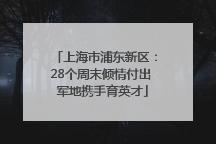 上海市浦东新区：28个周末倾情付出 军地携手育英才